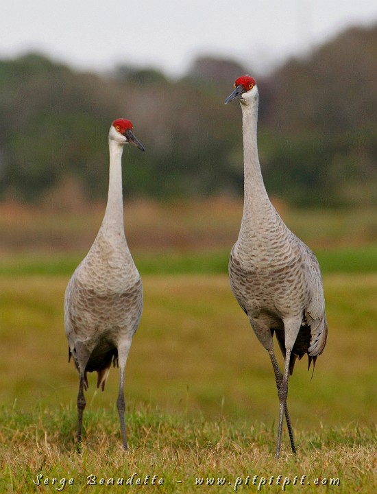 2009-01-04 16-20-23__MG_9910.JPG
